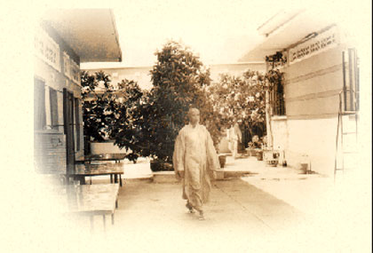 tvlinhquang